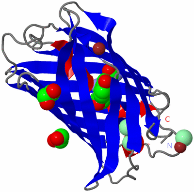 Image Asym./Biol. Unit