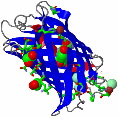 Image Asym./Biol. Unit - sites