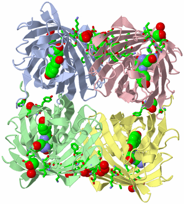 Image Biol. Unit 1 - sites