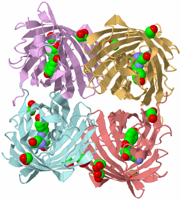 Image Biological Unit 2