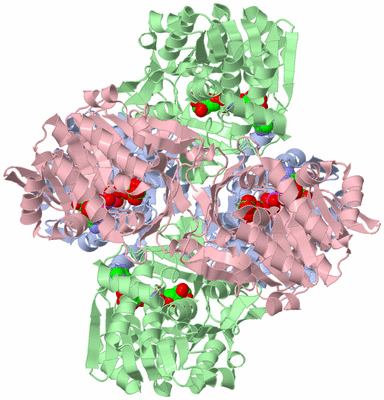 Image Biological Unit 1