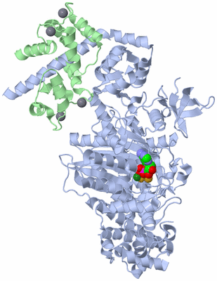 Image Asym./Biol. Unit