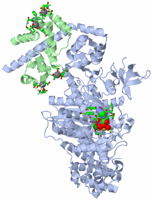 Image Asym./Biol. Unit - sites