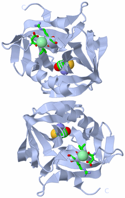 Image Biol. Unit 1 - sites