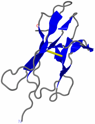 Image NMR Structure - model 1