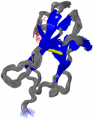 Image NMR Structure - all models