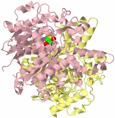 Image Biological Unit 2