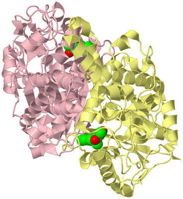 Image Biological Unit 2