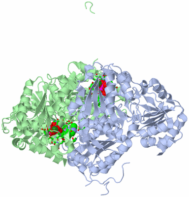 Image Asym./Biol. Unit - sites