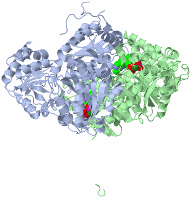 Image Asym./Biol. Unit