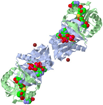 Image Biological Unit 1