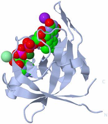 Image Biological Unit 1