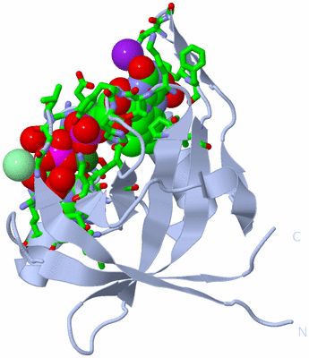 Image Biol. Unit 1 - sites