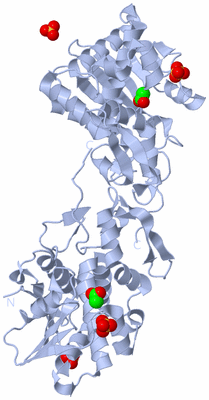 Image Biological Unit 1