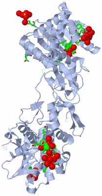 Image Biol. Unit 1 - sites