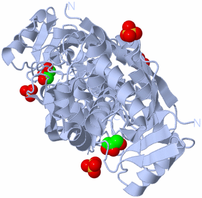 Image Biological Unit 1