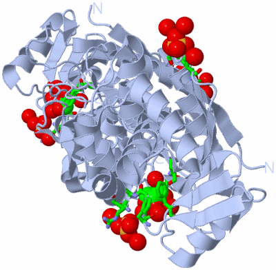Image Biol. Unit 1 - sites