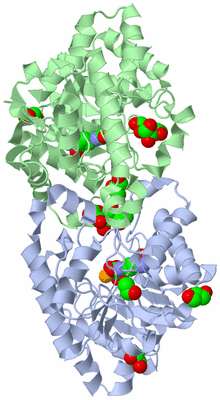 Image Biological Unit 1