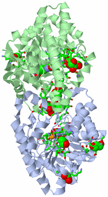 Image Biol. Unit 1 - sites