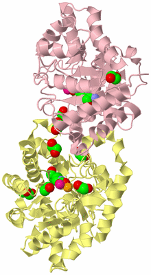 Image Biological Unit 2