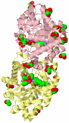 Image Biological Unit 2