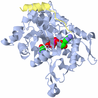 Image Biological Unit 1