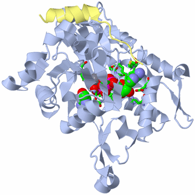 Image Biol. Unit 1 - sites