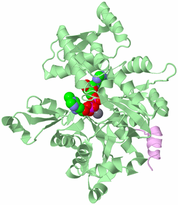 Image Biological Unit 2