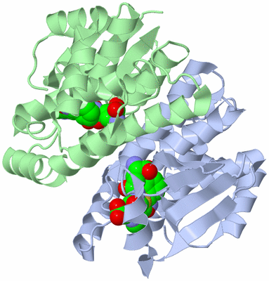 Image Biological Unit 1