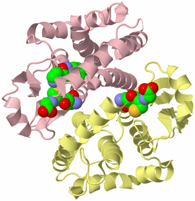 Image Biological Unit 2