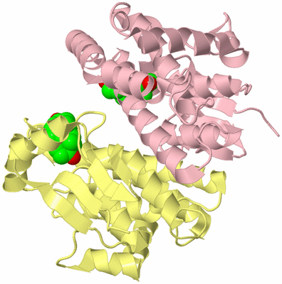 Image Biological Unit 2