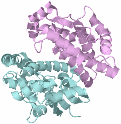 Image Biological Unit 3