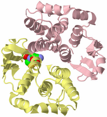 Image Biological Unit 2