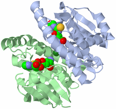 Image Biological Unit 1