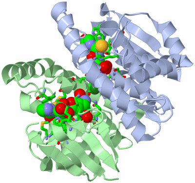 Image Biol. Unit 1 - sites