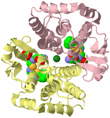 Image Biological Unit 2