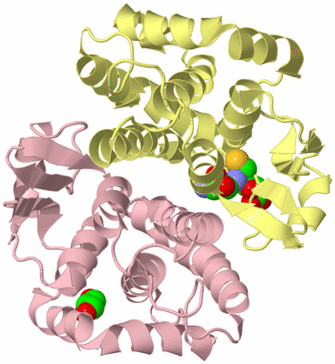 Image Biological Unit 2