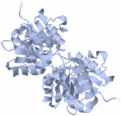 Image Biological Unit 1