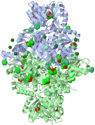 Image Biological Unit 1
