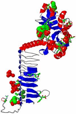 Image Asym. Unit - sites