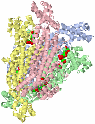 Image Biological Unit 1