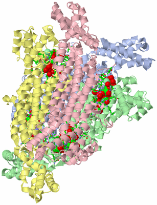 Image Biol. Unit 1 - sites