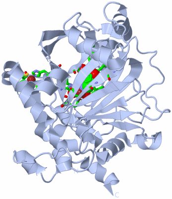 Image Biol. Unit 1 - sites