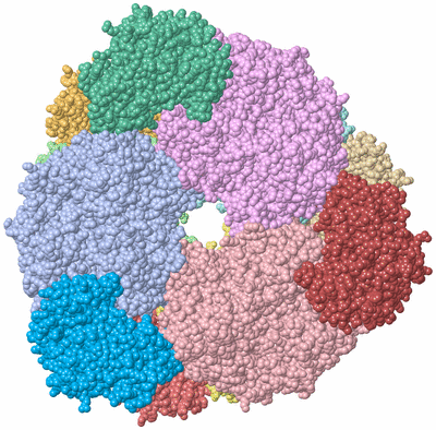 Image Asym./Biol. Unit