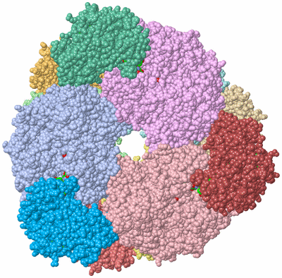 Image Asym./Biol. Unit - sites