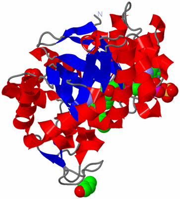 Image Asym./Biol. Unit