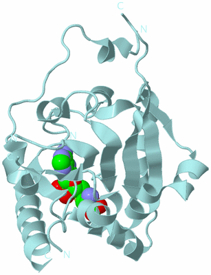 Image Biological Unit 2