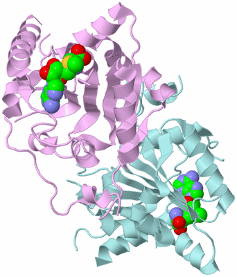 Image Biological Unit 3