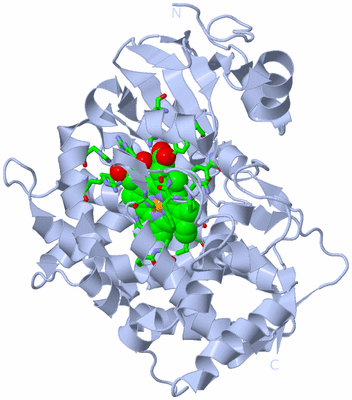 Image Biol. Unit 1 - sites