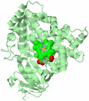 Image Biological Unit 2